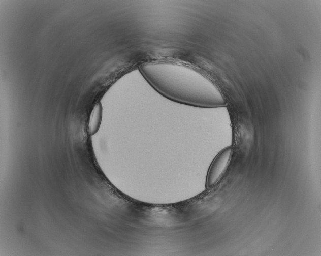 X0000111240566200908131147