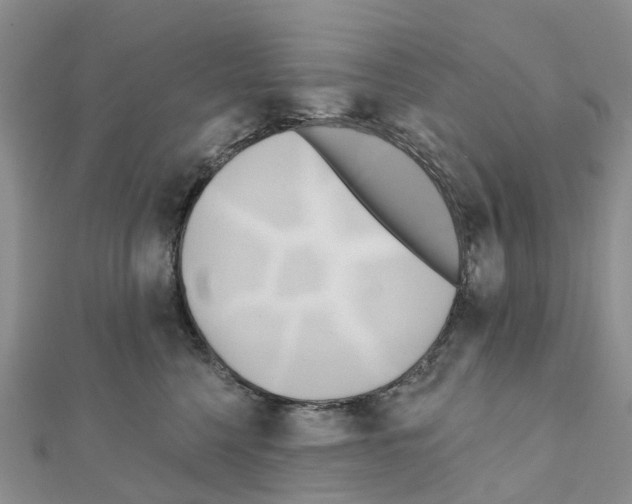 X0000111240568200908131147