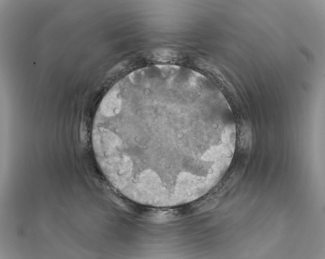 X0000111240569200908131147