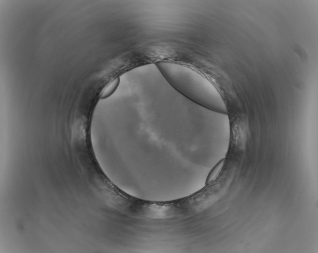 X0000111240570200908131147