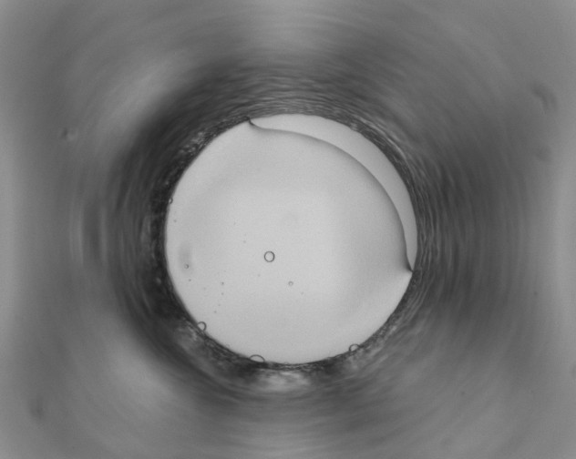 X0000111240572200908131147