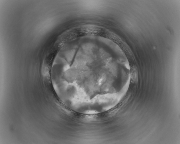 X0000111240573200908131147