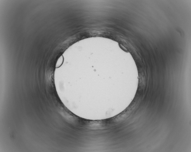X0000111240574200908131147