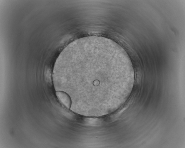 X0000111240575200908131147