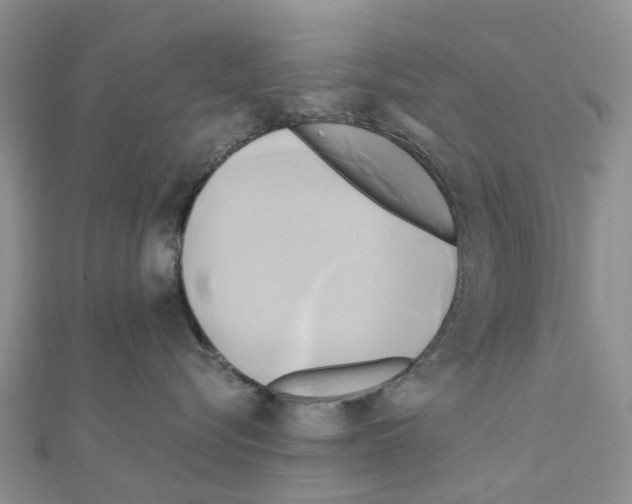 X0000111240576200908131147