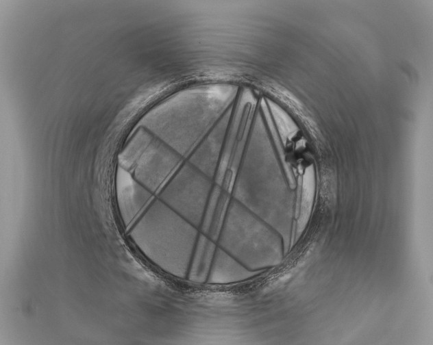 X0000111240577200908131146