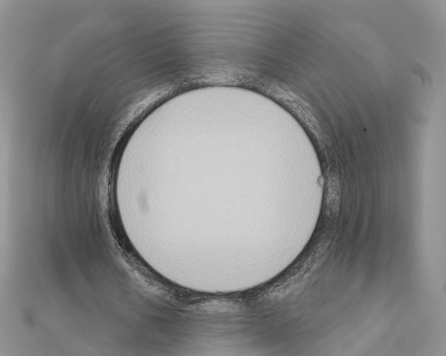 X0000111240578200908131146