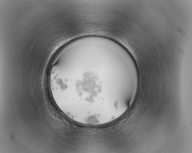 X0000111240579200908131146
