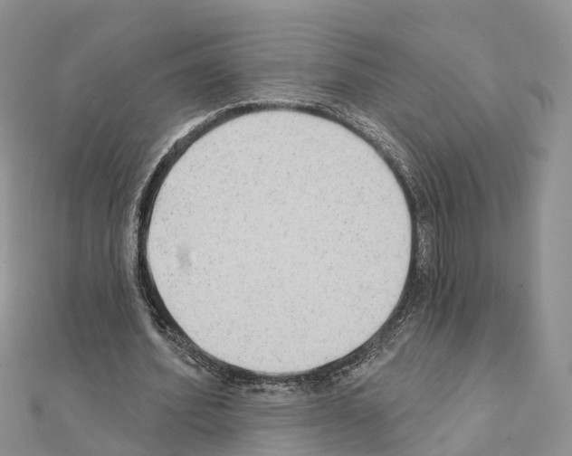 X0000111240580200908131146