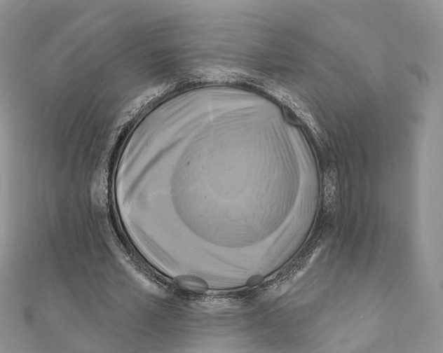 X0000111240581200908131146
