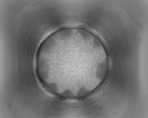 X0000111240582200908131146