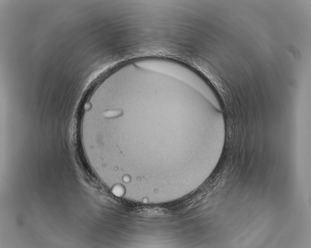 X0000111240583200908131146