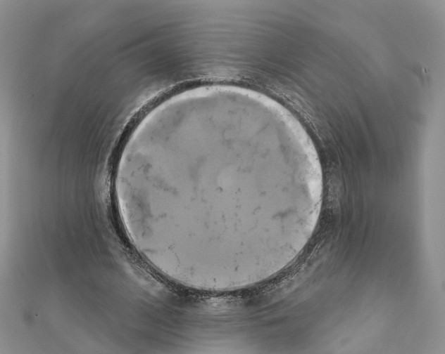 X0000111240584200908131146
