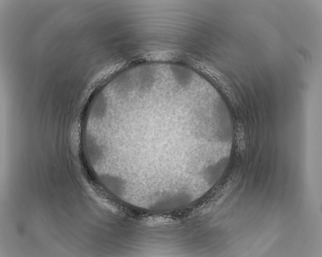 X0000111240586200908131146