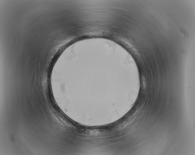 X0000111240588200908131146