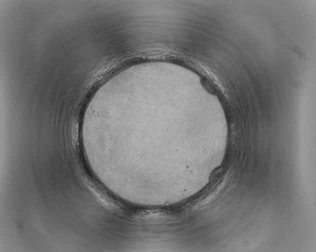 X0000111240589200908131146