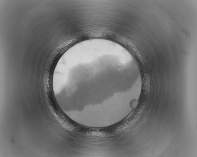 X0000111240590200908131146