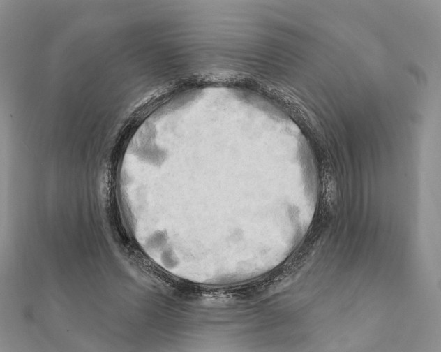 X0000111240591200908131146