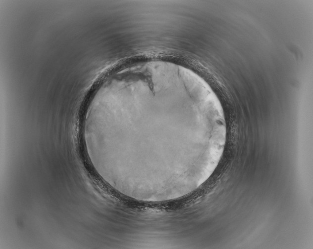 X0000111240592200908131146