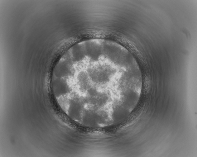 X0000111240594200908131146