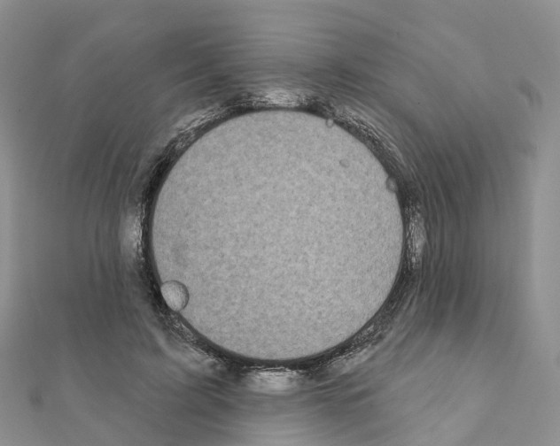 X0000111240595200908131146