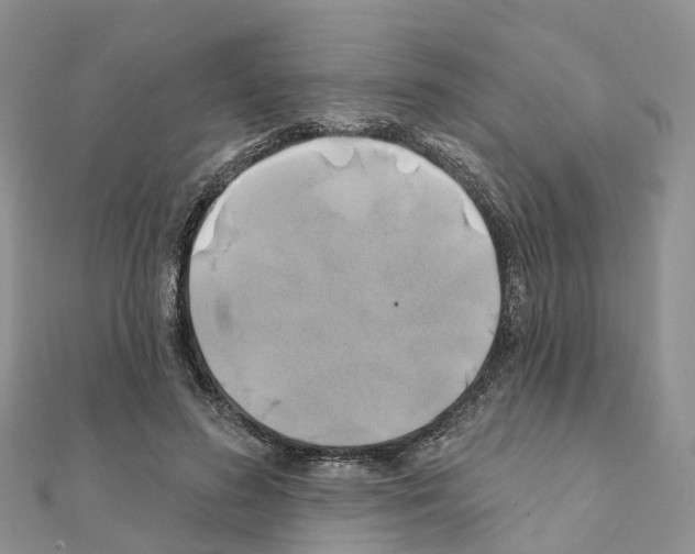 X0000111240596200908131146