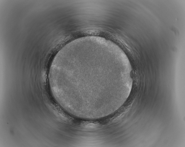 X0000111240597200908131146