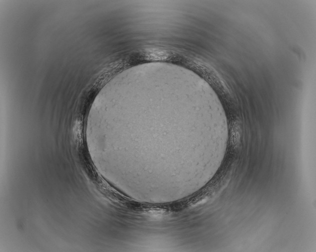 X0000111240598200908131146