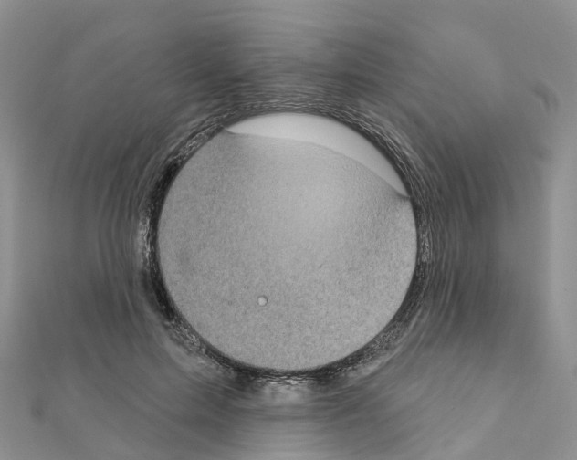 X0000111240599200908131146