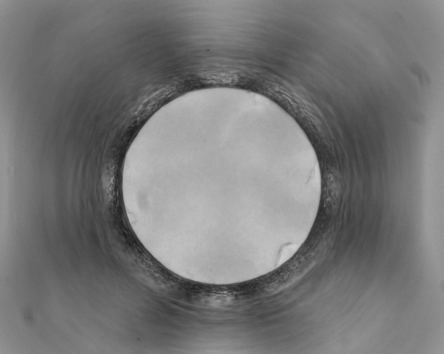 X0000111240600200908131146