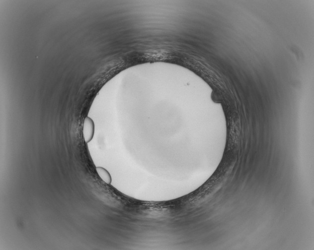 X0000111240601200908131146