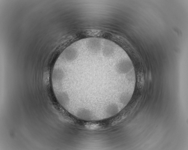 X0000111240602200908131146