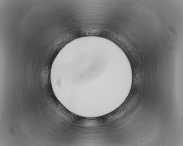 X0000111240604200908131146