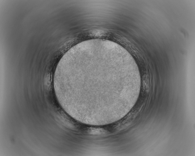 X0000111240605200908131146