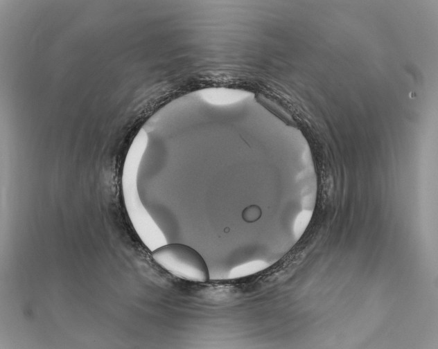 X0000111240609200908131146
