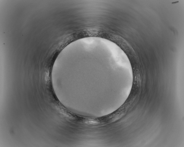X0000111240610200908131146