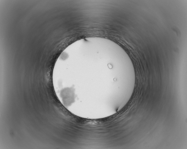X0000111240611200908131146