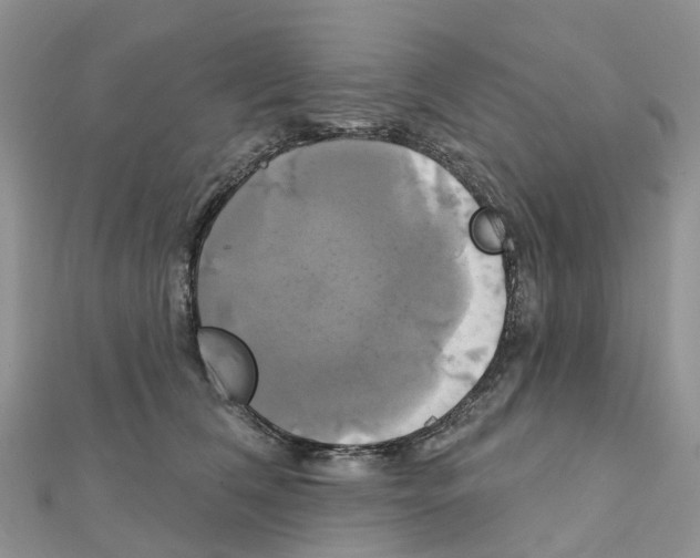 X0000111240612200908131146