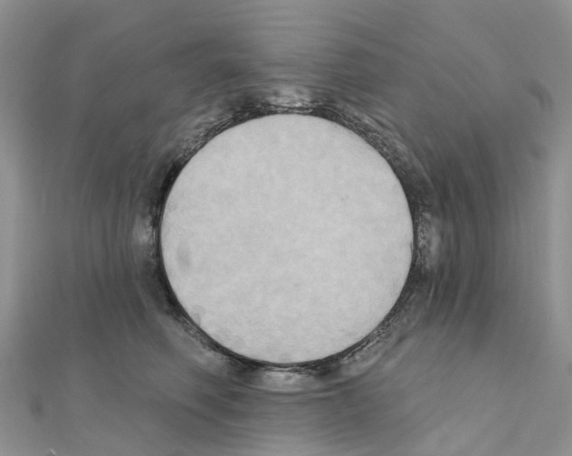 X0000111240614200908131146