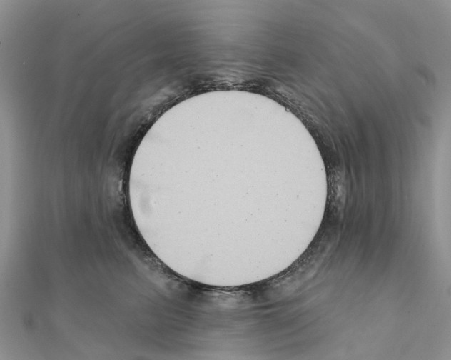 X0000111240615200908131146