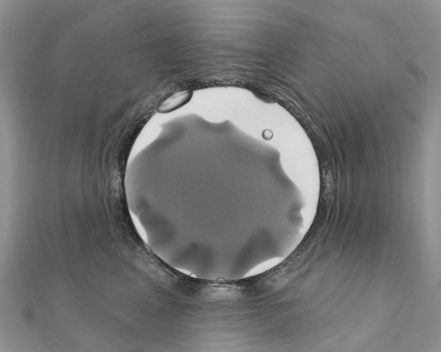 X0000111240617200908131146