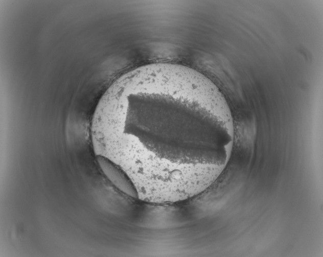 X0000111240621200908131146