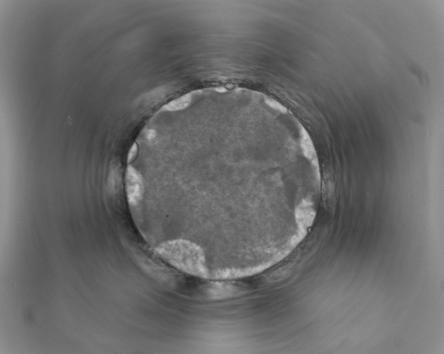 X0000111240623200908131146