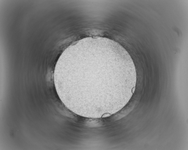 X0000111240624200908131146