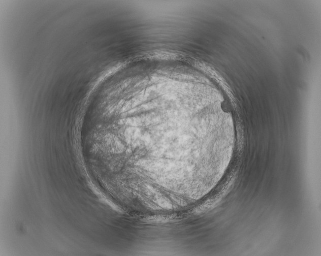 X0000111240625200908131145