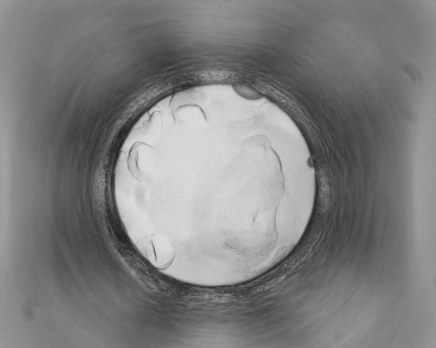 X0000111240626200908131145