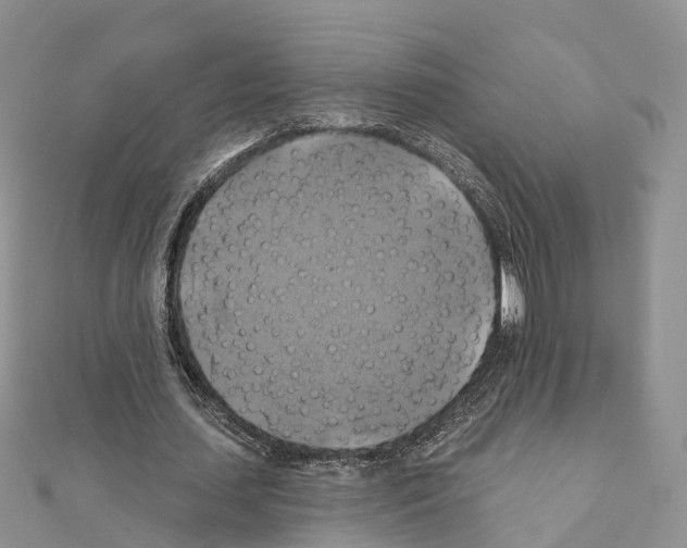 X0000111240627200908131145