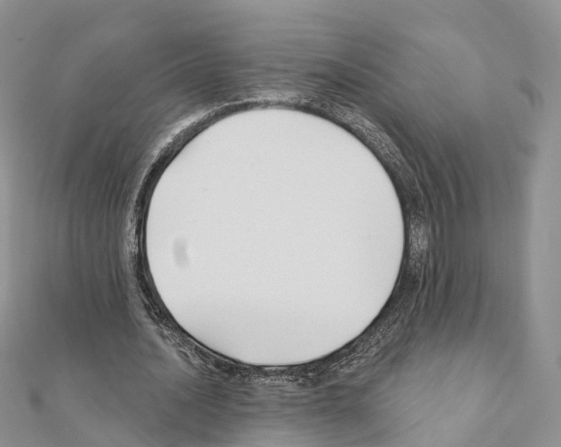 X0000111240628200908131145