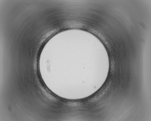 X0000111240629200908131145