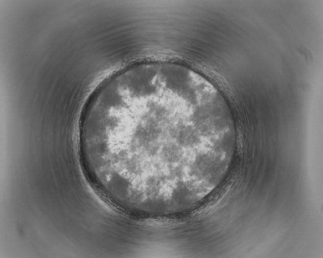 X0000111240630200908131145